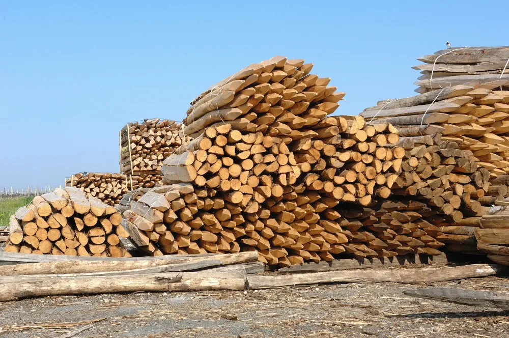 commerce de bois près de Lesparre-Médoc