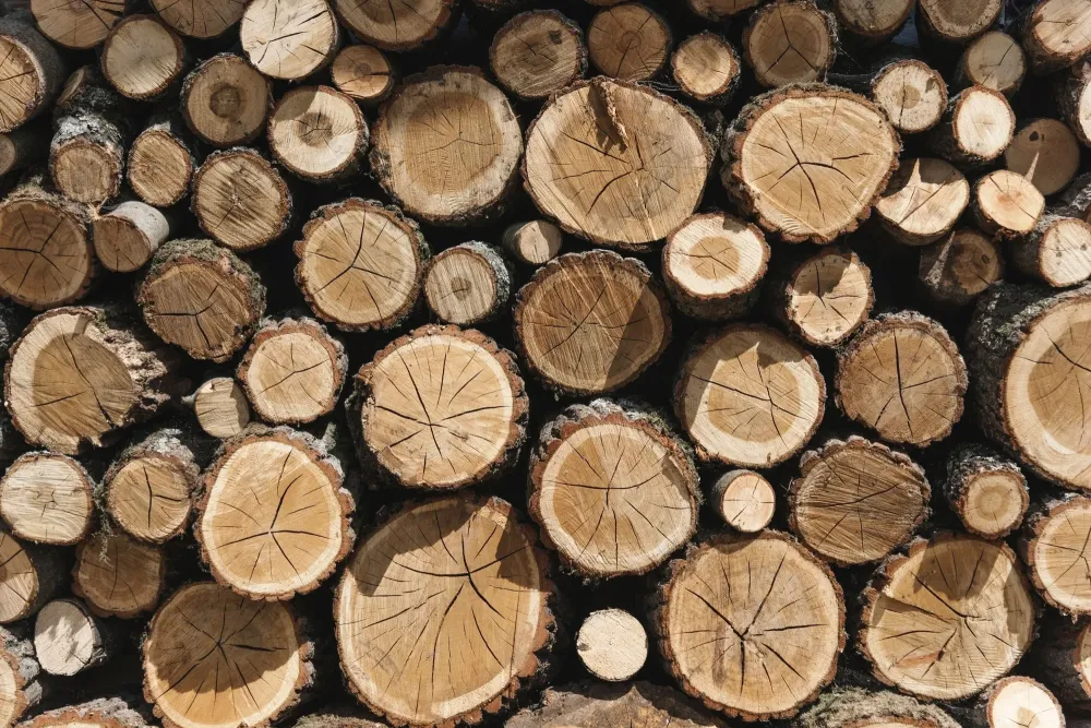 Bois-de-chauffage